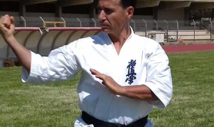 pino-volpe-karate-articolo
