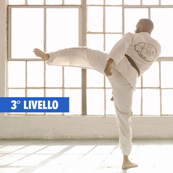 PREPARATORE-ATLETICO-KARATE-3-livello PREPARATORE-ATLETICO-KARATE-3-livello