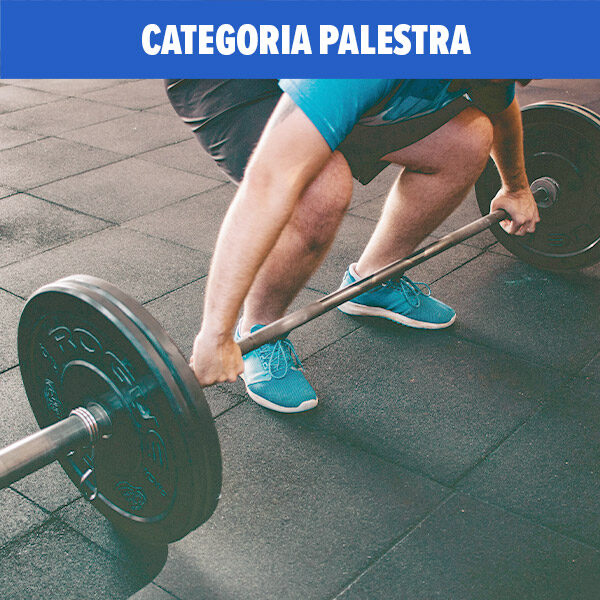 categoria-palestra-fiams categoria-palestra-fiams